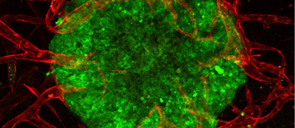 Unleashing the potential of scientific talent