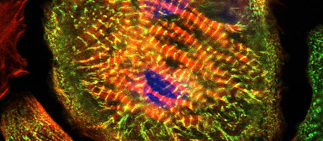Trailblazing scientific breakthroughs
