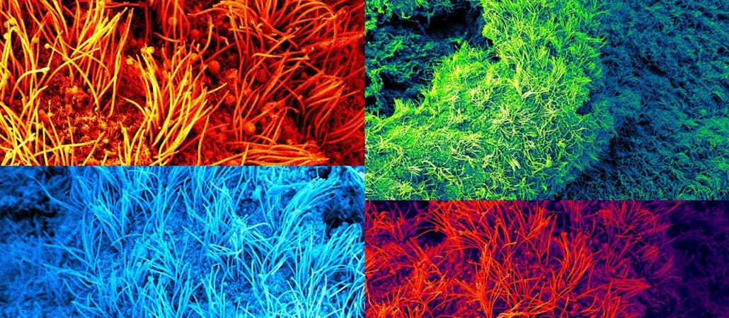 Exploring the mysteries of the brain