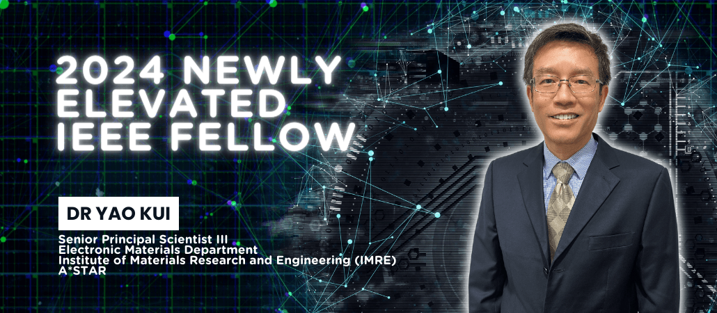 2024 IEEE Fellow