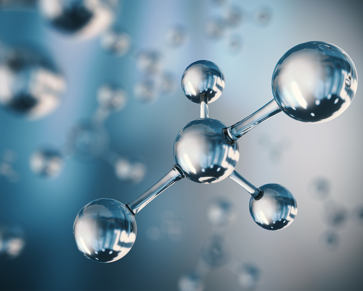 PhD Apply Now