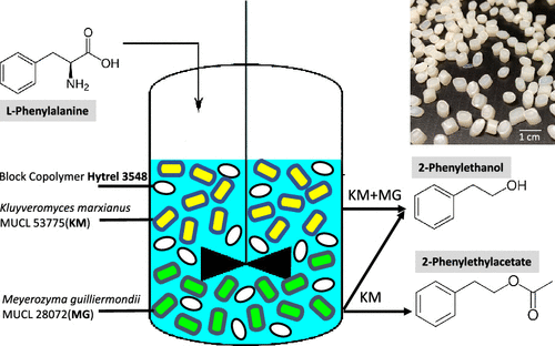 Production of 2-phenylethanol