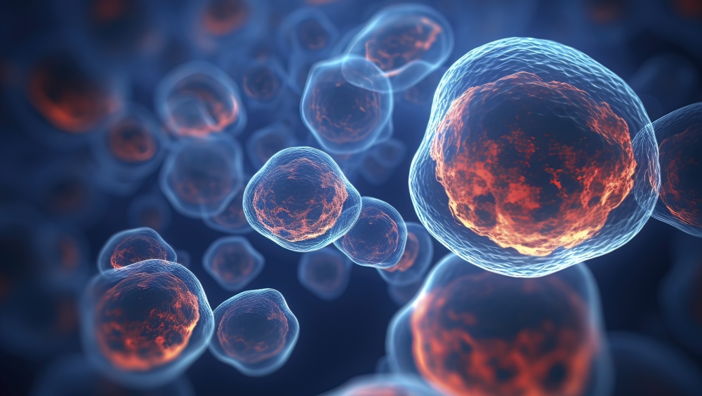 Cells 1 (resized)