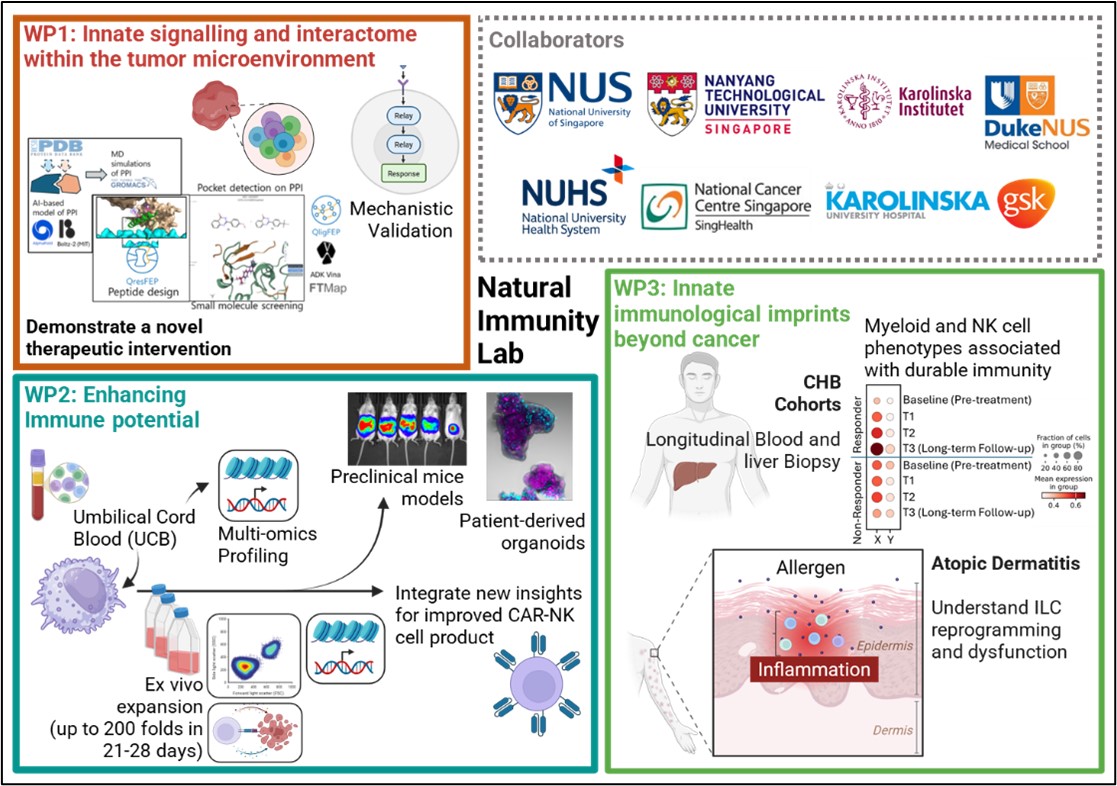 Research work packages of the natural immunity lab