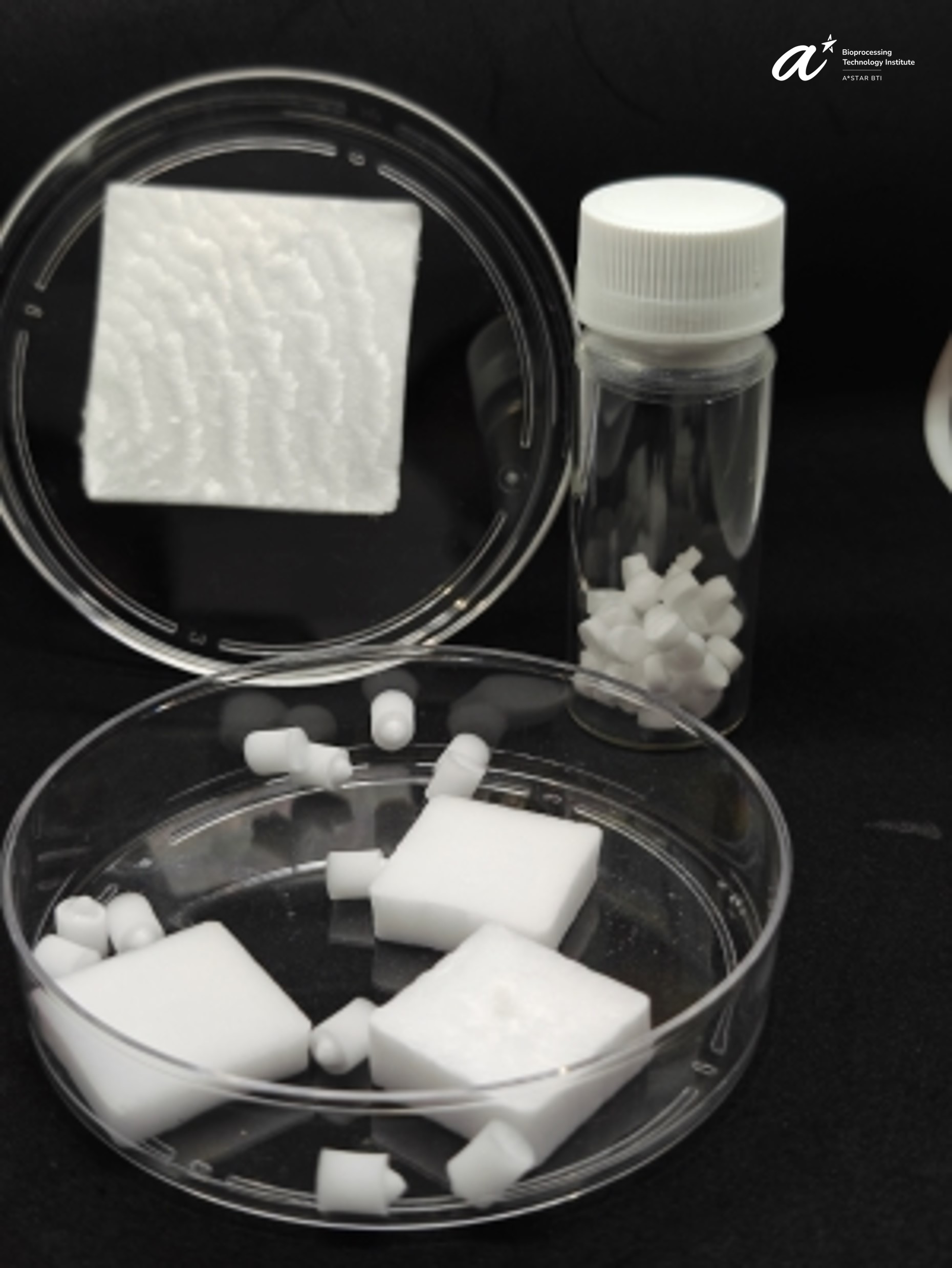 Fig 1_Macromolecular Bioscience_Weng Wan