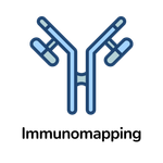 I Core Platform Immunomapping With Name (blue No Bkgd)