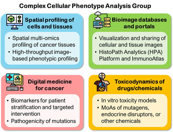 BII_Research_CIID-CCPA-figure1