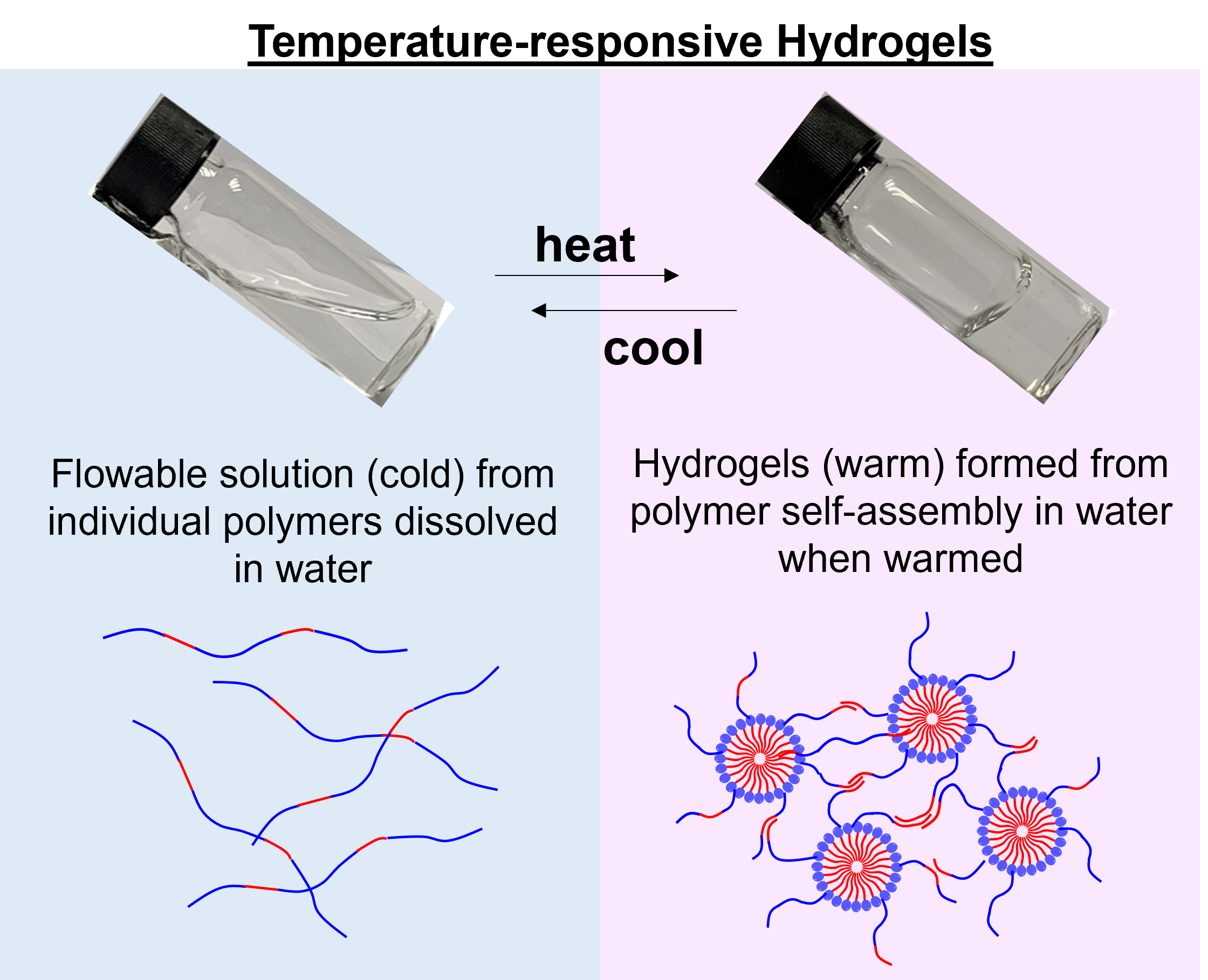 Thermogels Pic