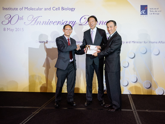 IMCB 30th Anniversary dinner