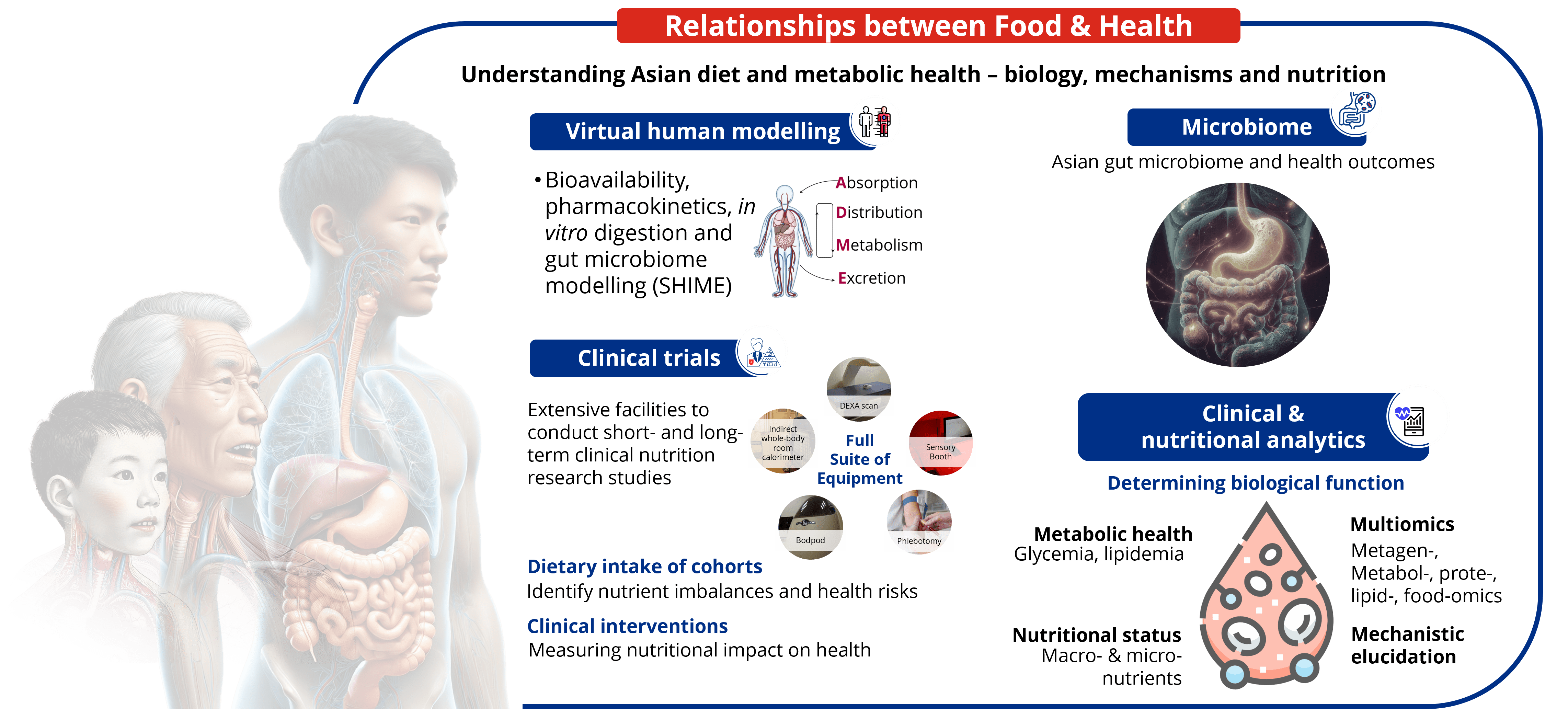 Nutrition intro