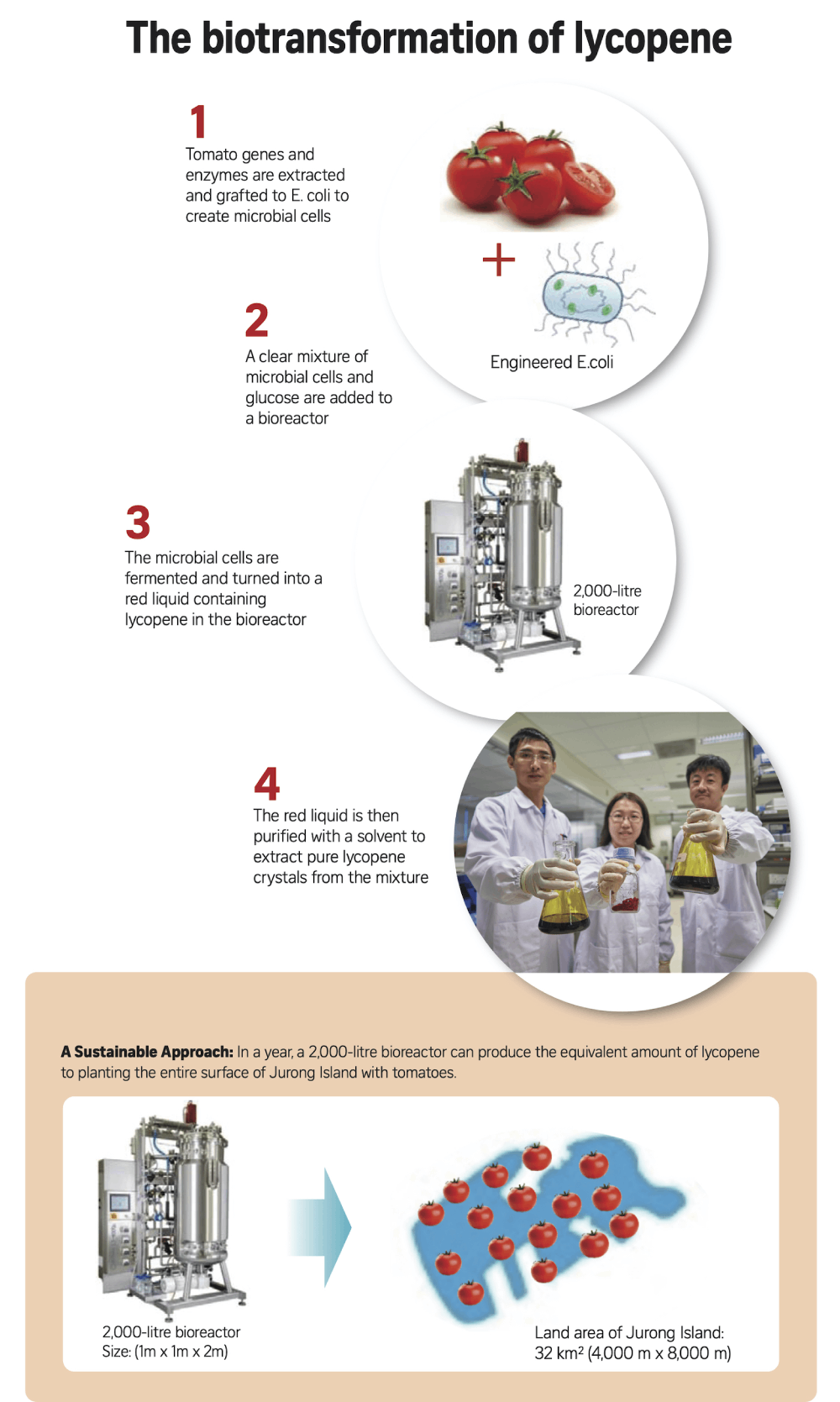 Food for Thoughts_Biotransformation process Food for Thoughts_Biotransformation process