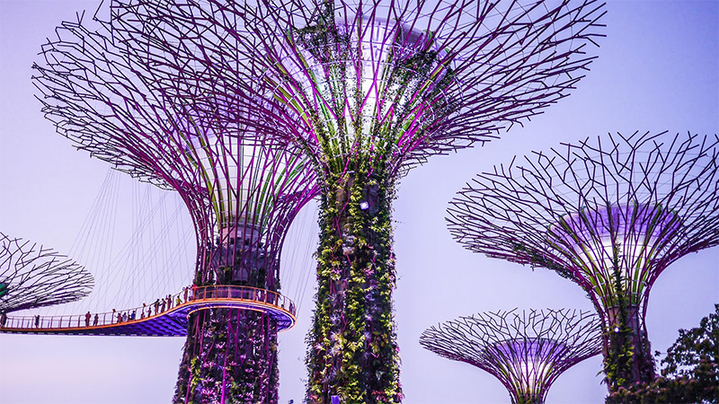 Guide to Innovation in Singapore