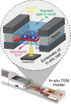 insitu tem 1