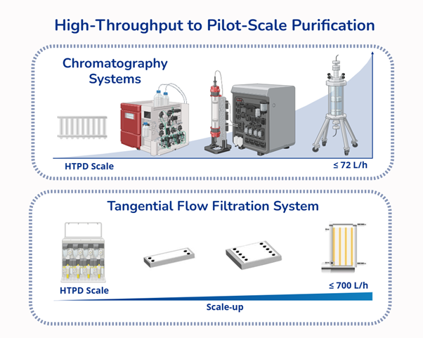 High Throughput to Pilot Scale Purification