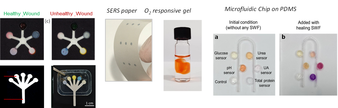 Biofunctionalization and processing2