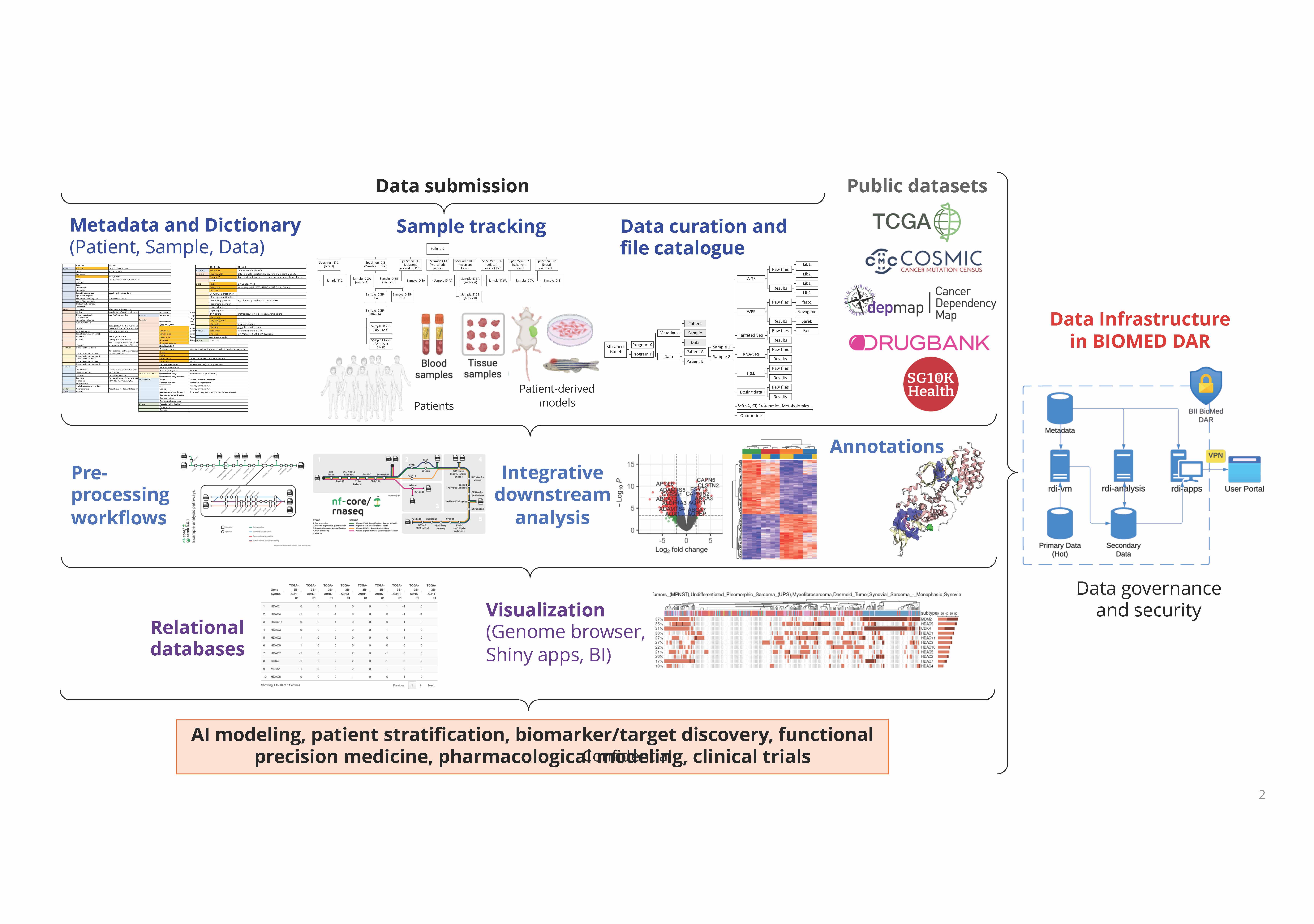 BII_Research-BDHD-RDI_figure-2