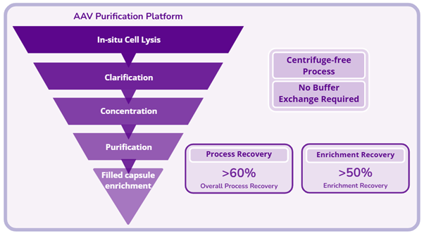 Aav Purification Platform