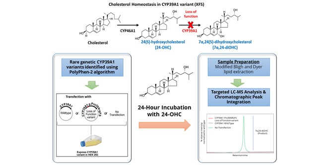 Targeted metabolomics
