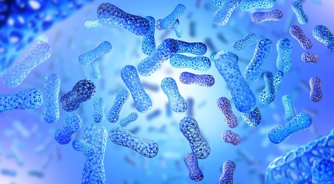 Testing Gut Health With No Humans Required 