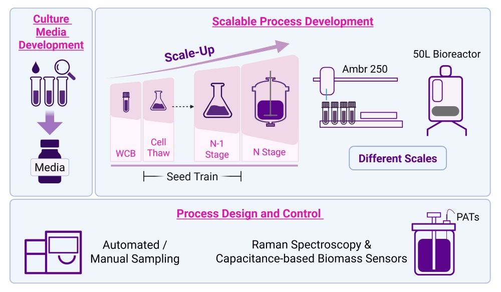 Our Capabilities (resized)