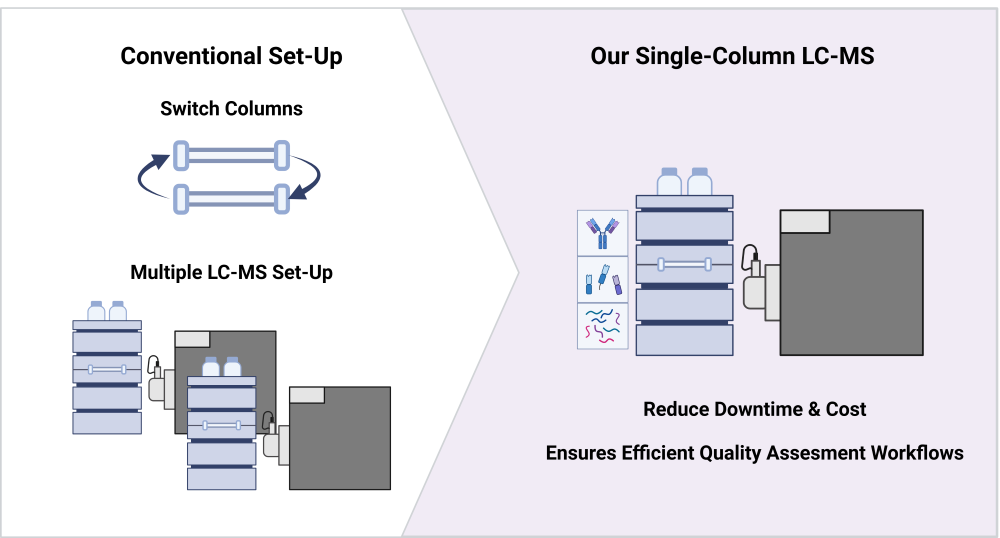 Bti Pa Website Multilevel (resize)