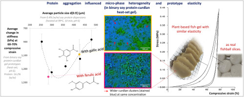 Modulating elasticity of heat-set soy protein