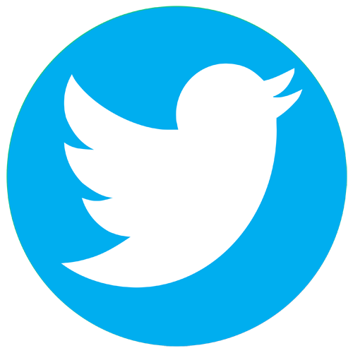 social-twitter
