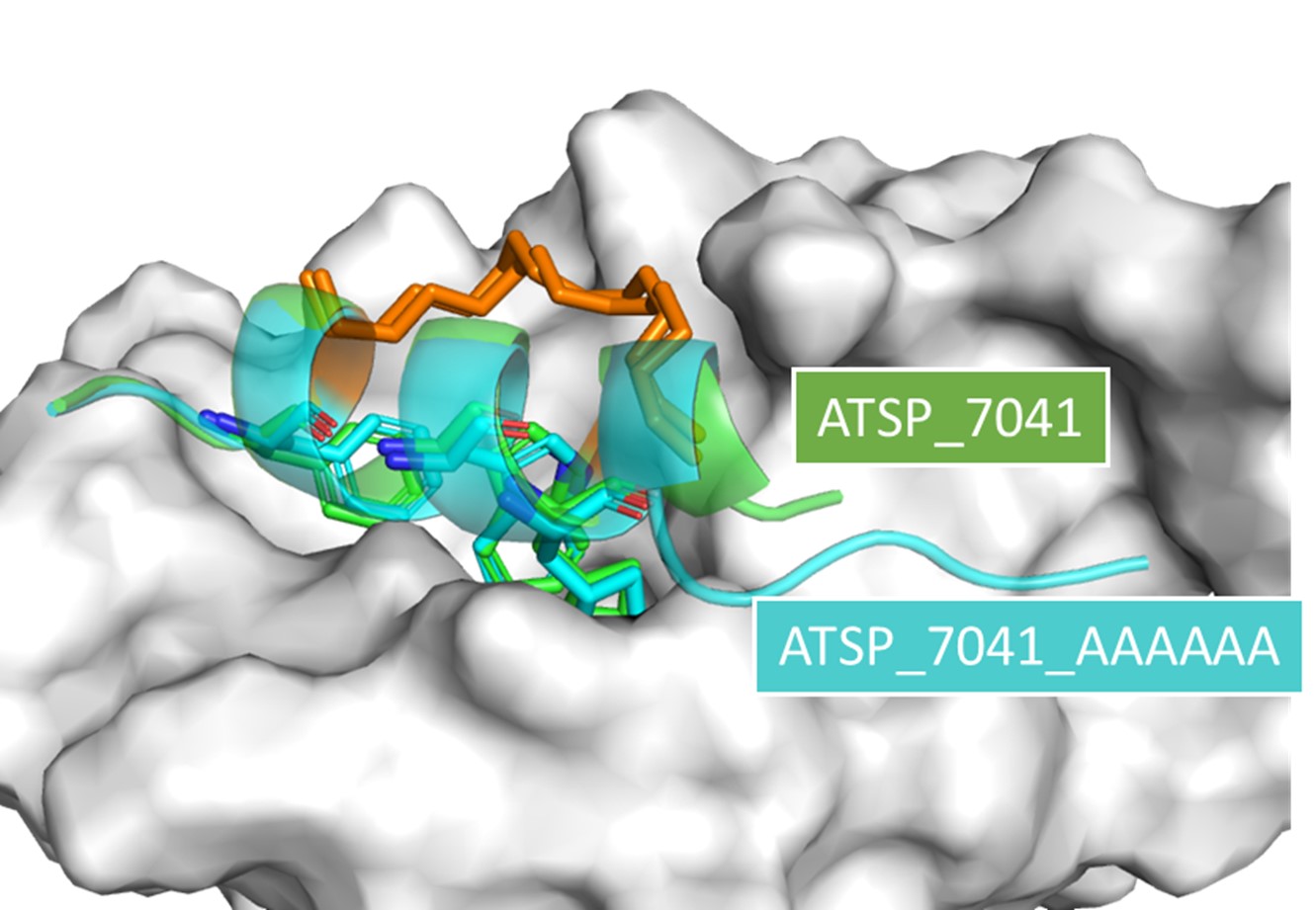 BII_Research-BSMD-ASDB_figure-1B