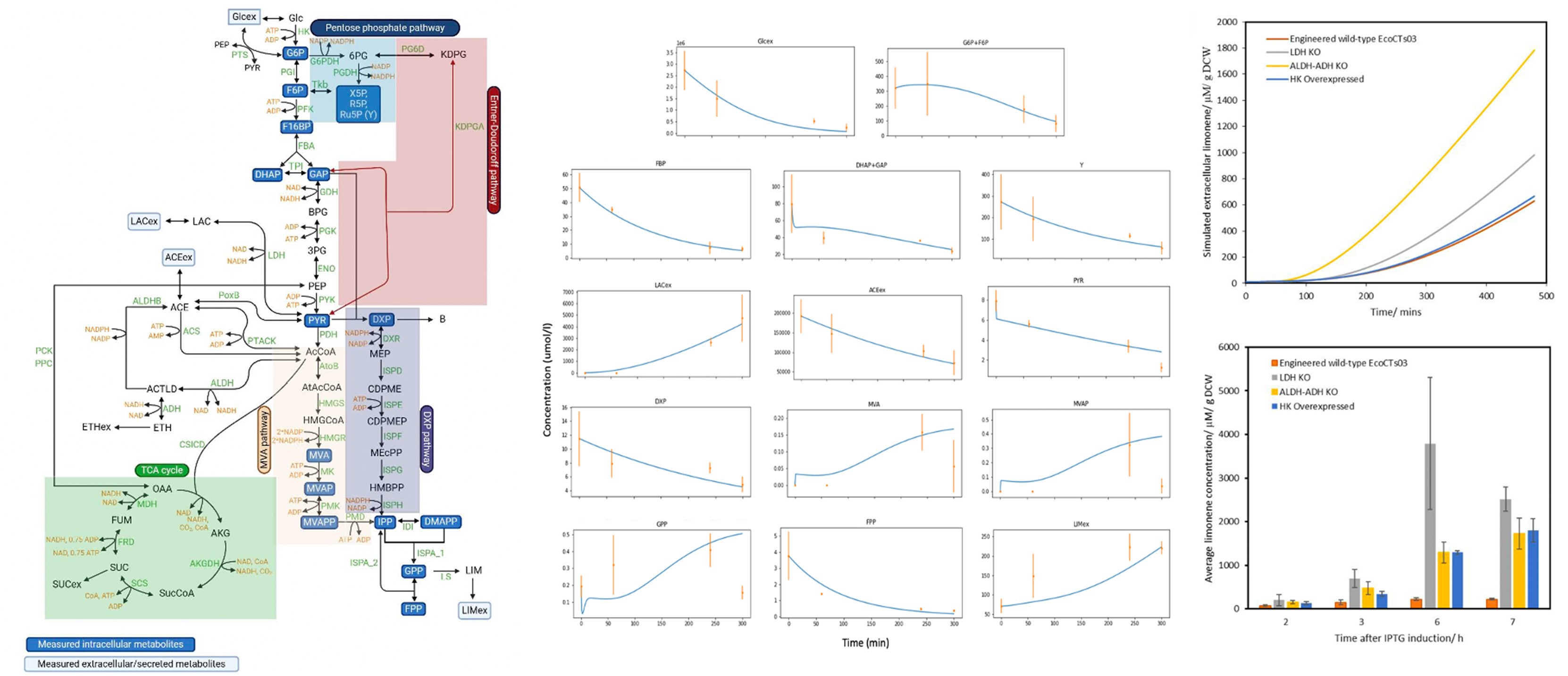 BII_Research-BSFD-CBOL_figure-1