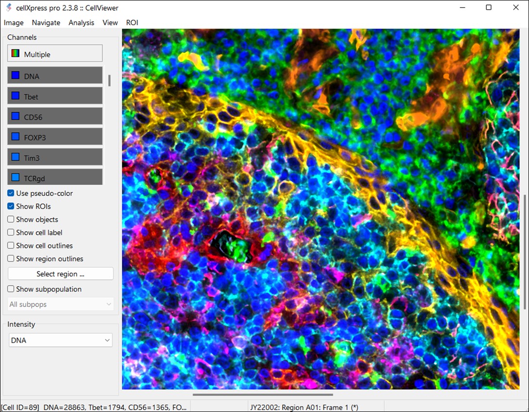 BII_Research-CIID-CCPA_figure-2