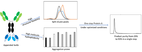 Fig1 J Chromatogr A_Xinhui, Wei