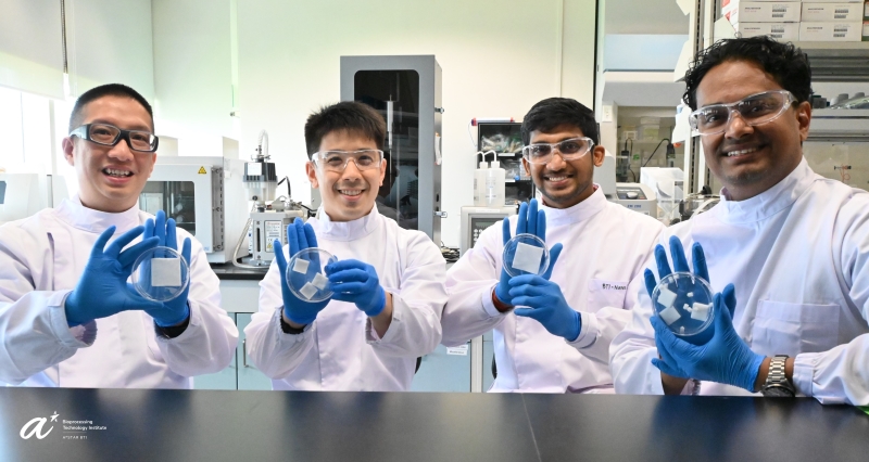 Grp Photo_Macromolecular Bioscience_Weng Wan