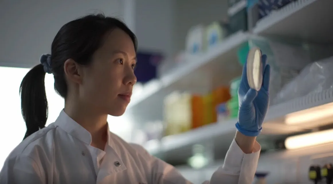 Testing Gut Health With No Humans Required Content