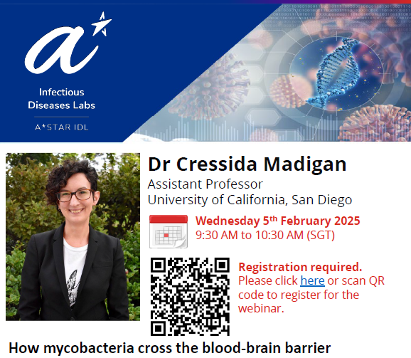 How mycobacteria cross the blood-brain barrier
