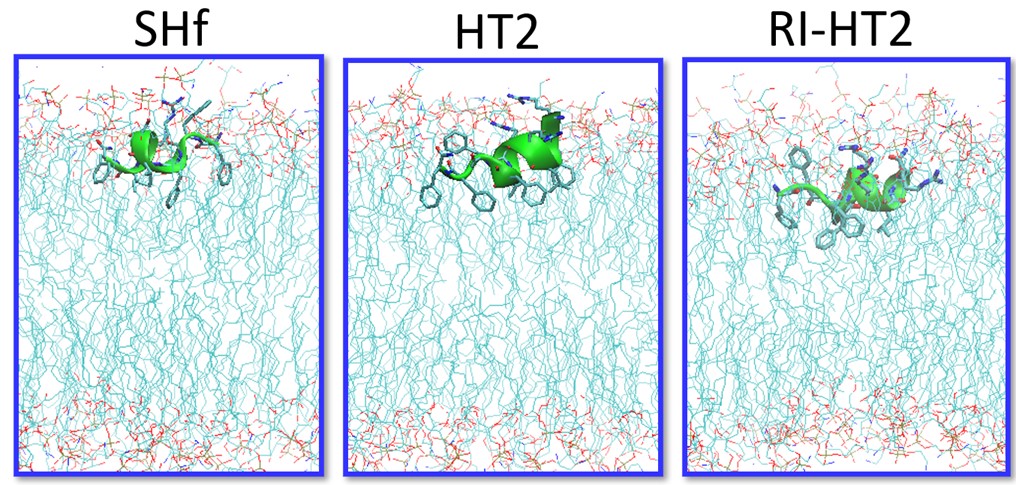 BII_Research-BSMD-ASDB_figure-2A