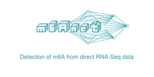 m6anet_logo m6anet_logo