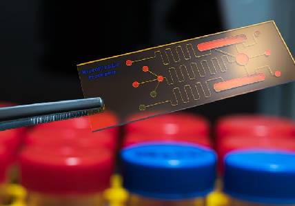 biosensor biosensor
