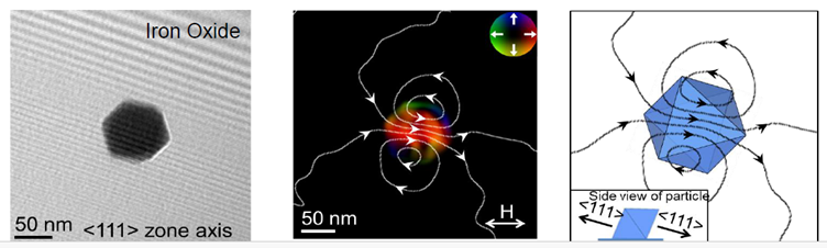 electron holography