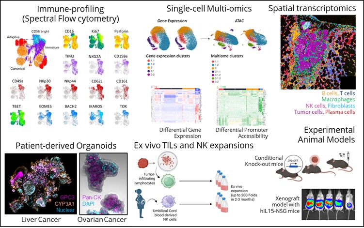 Current Research Capabilities