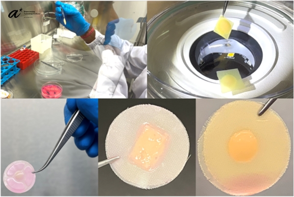 2025_07 Fig 1_Bach_A platform for Bioengineering Tissue Membranes
