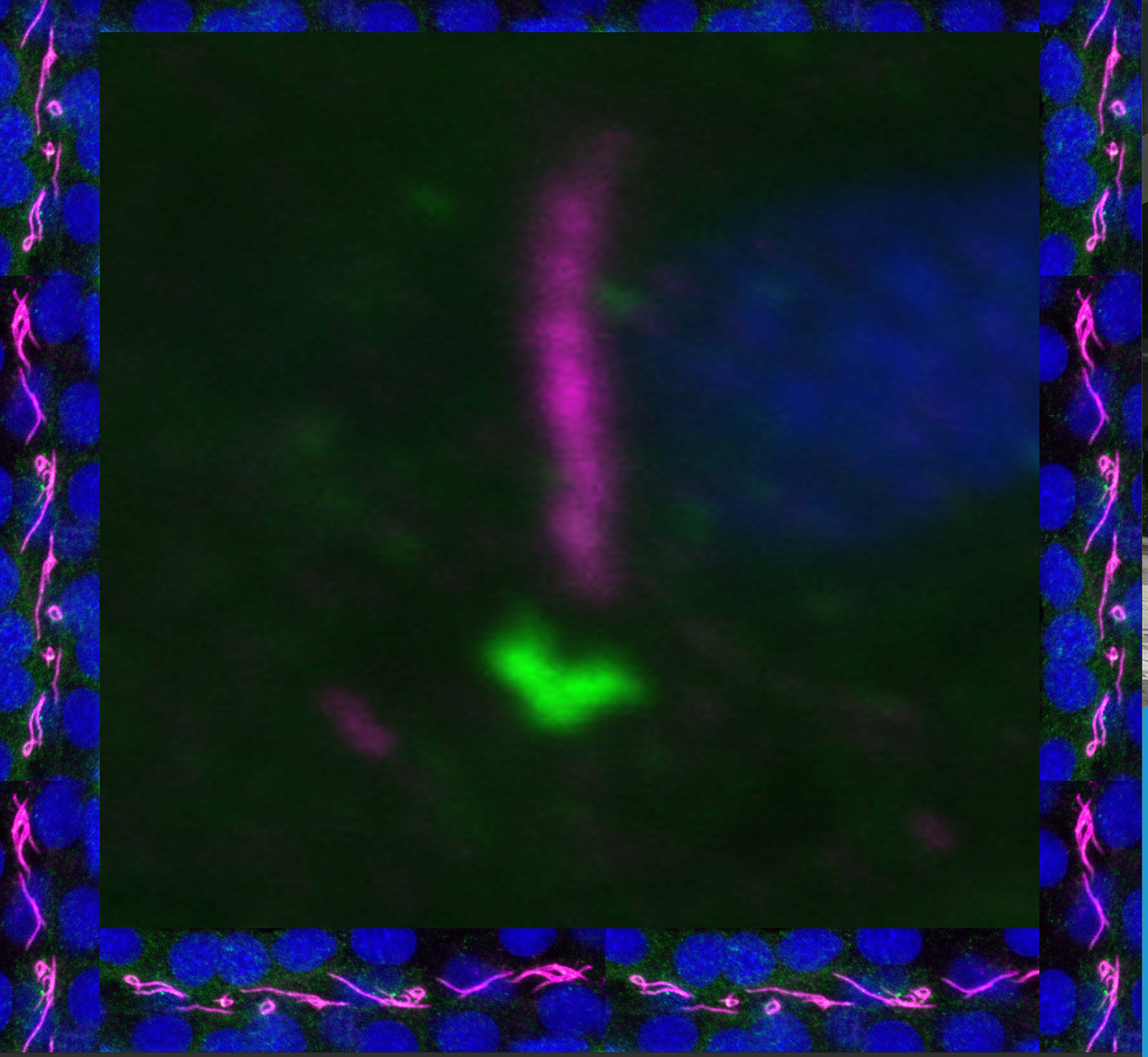 astar-image-placeholder