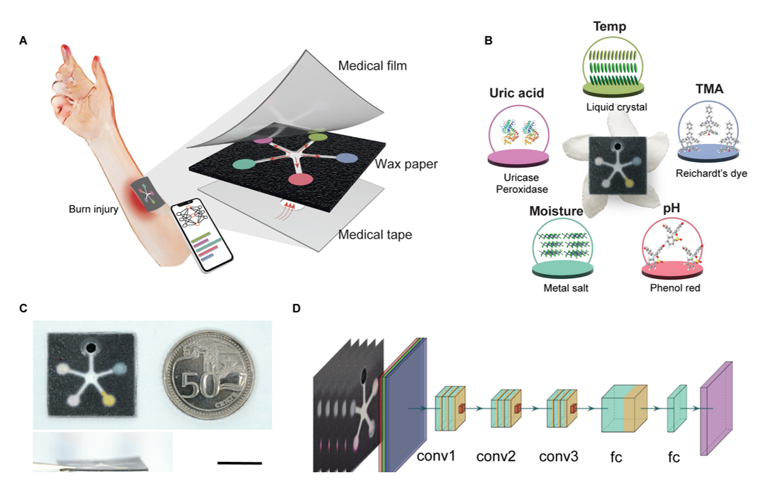 Paper-Fluidic Nanosensors