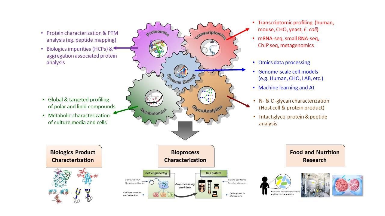 systems biology pic