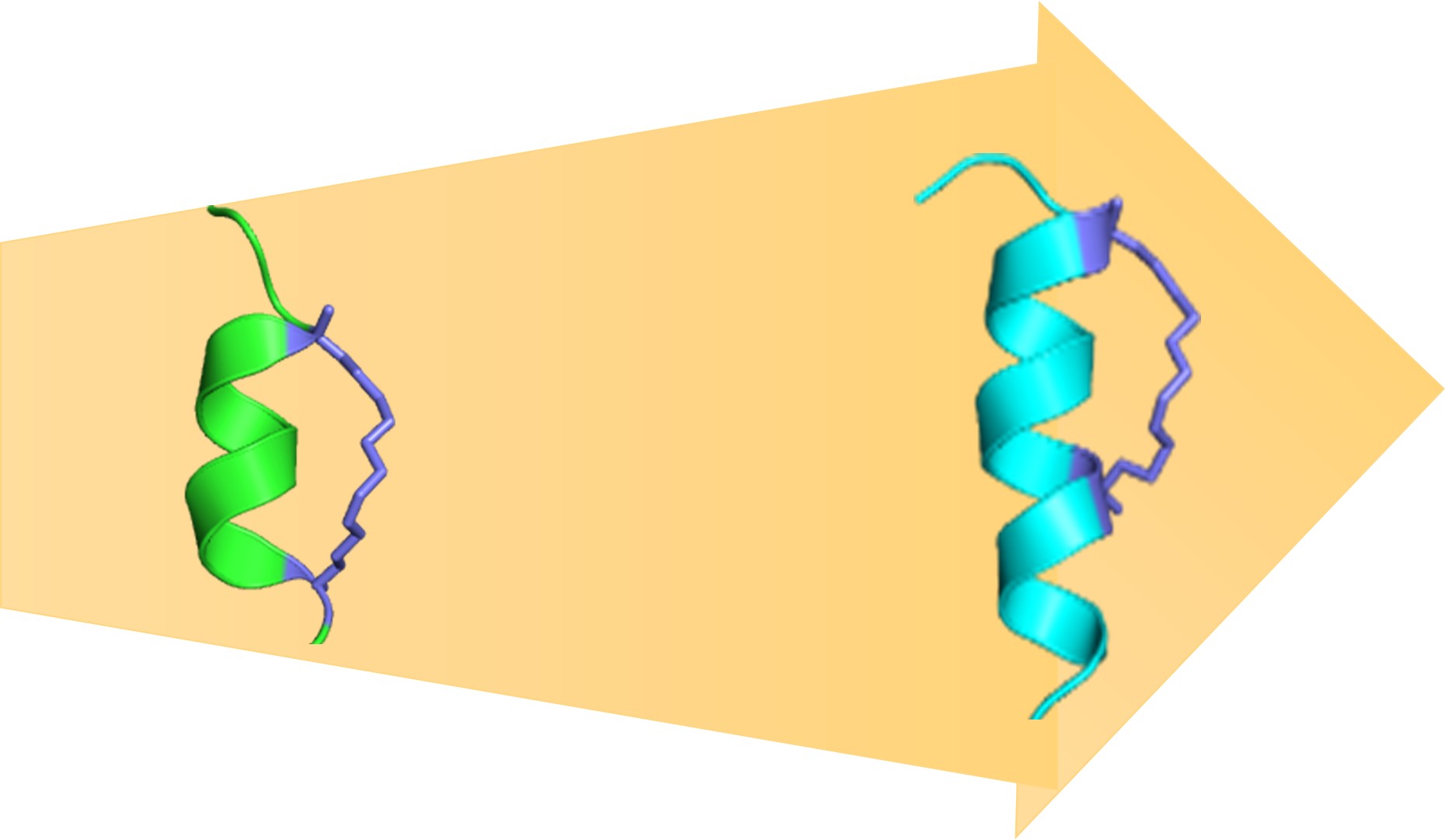BII_Research-BSMD-ASDB_figure-1A