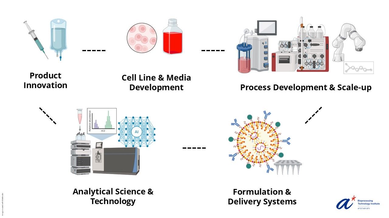 BTI's core capabilities spanning product innovation, cell line and media development, process development and scale-up, analytical science and technology, and formulation and delivery systems