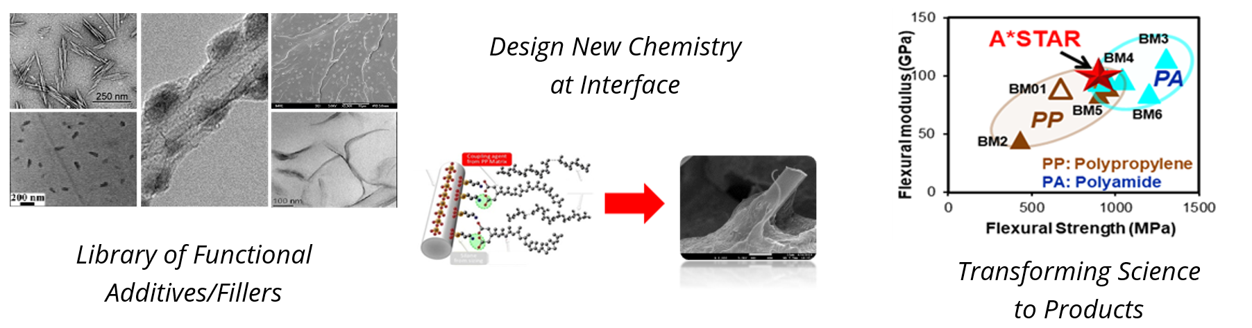 High Performance Functional Composites