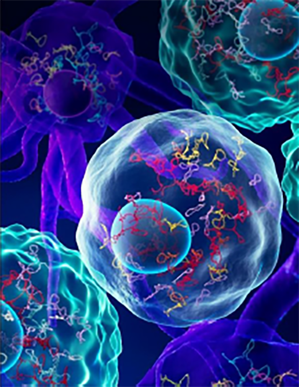 NEW APPROACH TO SINGLE-CELL RNA STRUCTURE SEQUENCING UNVEILS BIOMARKERS FOR HUMAN DEVELOPMENT AND DISEASE