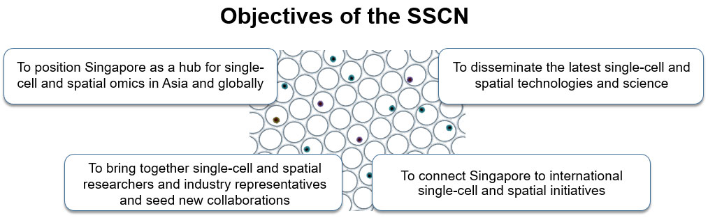 SSCN Objectives