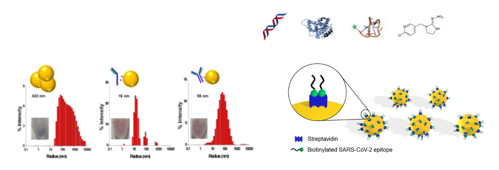 Biofunctionalization and processing