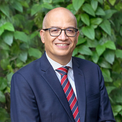Prof Laurent Rénia